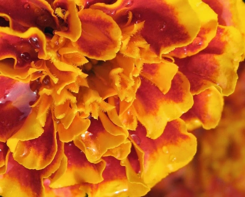 Day 5, 6, 7 and the rest of my life!